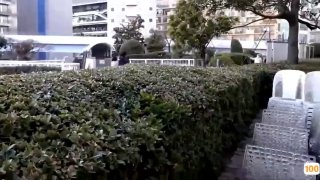 91亚洲视频在线观看